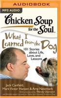 Chicken Soup for the Soul: What I Learned from the Dog