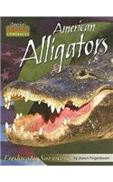 American Alligators