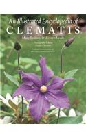 An Illustrated Encyclopedia of Clematis