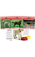Dogs Set 1 (Set)