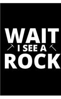 Wait I See A Rock
