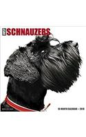 Just Schnauzers 2018 Calendar