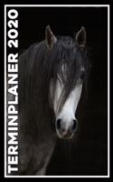 Terminplaner 2020: Jahresplaner von September 2019 bis Dezember 2020 mit Pferd - Planer mit 174 Seiten in weiß im Format A5 mit glänzendem Soft Cover.