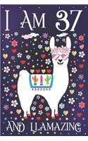 I am 37 and Llamazing