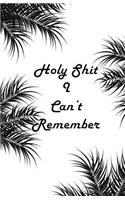 Holy Shit I can't Remember