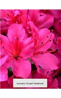 Isometric Graph Notebook: Azalea Flowers Isometric 3D Graph Paper Notebook - 8.5 X 11 - 150 Pages (75 Sheets). Glossy Cover
