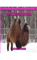Bactrian camel: Beautiful Pictures & Interesting Facts Children Book About Bactrian camel