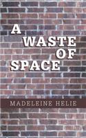 A Waste of Space