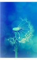 Make a Wish: Nature Journal for all Nature lovers, You can now sketch, plan, Record, Journal all your Info in this Gorgeous Nature Journal