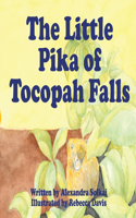 Little Pika of Tocopah Falls