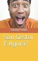 Sou Gestor e Agora?