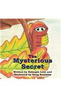 Mysterious Secret