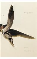 The Swallows