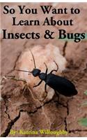 So You Want to Learn About Insects & Bugs