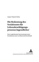 Die Bedeutung Des Sozialraums Fuer Lebensbewaeltigungsprozesse Jugendlicher: Eine Vergleichende Untersuchung Zweier Sozialraeume Einer Norddeutschen Großstadt