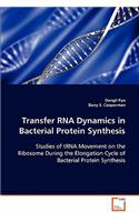 Transfer RNA Dynamics in Bacterial Protein Synthesis