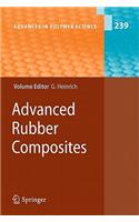 Advanced Rubber Composites