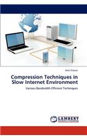 Compression Techniques in Slow Internet Environment
