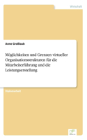 Möglichkeiten und Grenzen virtueller Organisationsstrukturen für die Mitarbeiterführung und die Leistungserstellung