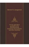 On the appendices genitales in the Greenland shark Somniosus microcephalus and other selachians: (English)
