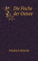 Die Fische der Ostsee