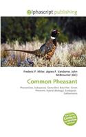 Common Pheasant: (English)