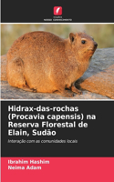 Hidrax-das-rochas (Procavia capensis) na Reserva Florestal de Elain, Sudão