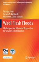 Wadi Flash Floods: Challenges and Advanced Approaches for Disaster Risk Reduction