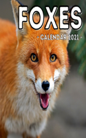 Foxes Calendar 2021