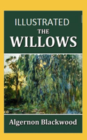 The Willows Illustrated