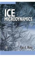 Ice Microdynamics