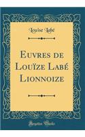 Euvres de LouÃ¯ze LabÃ© Lionnoize (Classic Reprint)