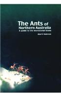 Ants of Northern Australia