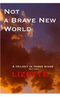 Not a Brave New World - Lizette