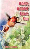 Where Wonder Takes You
