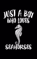 Just A Boy Who Loves Seahorses