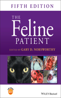 Feline Patient