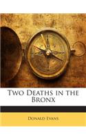 Two Deaths in the Bronx