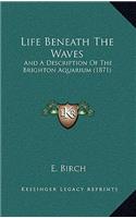 Life Beneath the Waves
