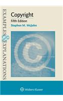 Examples & Explanations for Copyright