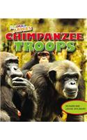 Chimpanzee Troops