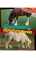 Clydesdales and Miniature Horses