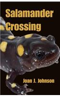 Salamander Crossing