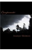 Camposanto