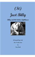 (St) Just Billy and the Broken Lighthouse: (3 A Cornish Dog Tail)