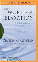 World of Relaxation: A Guided Mindfulness Meditation Practice for Healing in the Hospital And/Or at Home