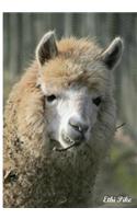 Ethi Pike - Llama Notebook / Extended Lined Pages / Soft Matte Cover: An Ethi Pike Collectible Journal: Animals