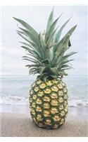 Say Hello to the Pineapple on the Beach Tropical Vacation Journal