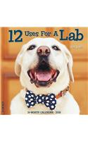 12 Uses for a Lab 2019 Wall Calendar (Dog Breed Calendar)