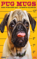 Pug Mugs 2021 Wall Calendar